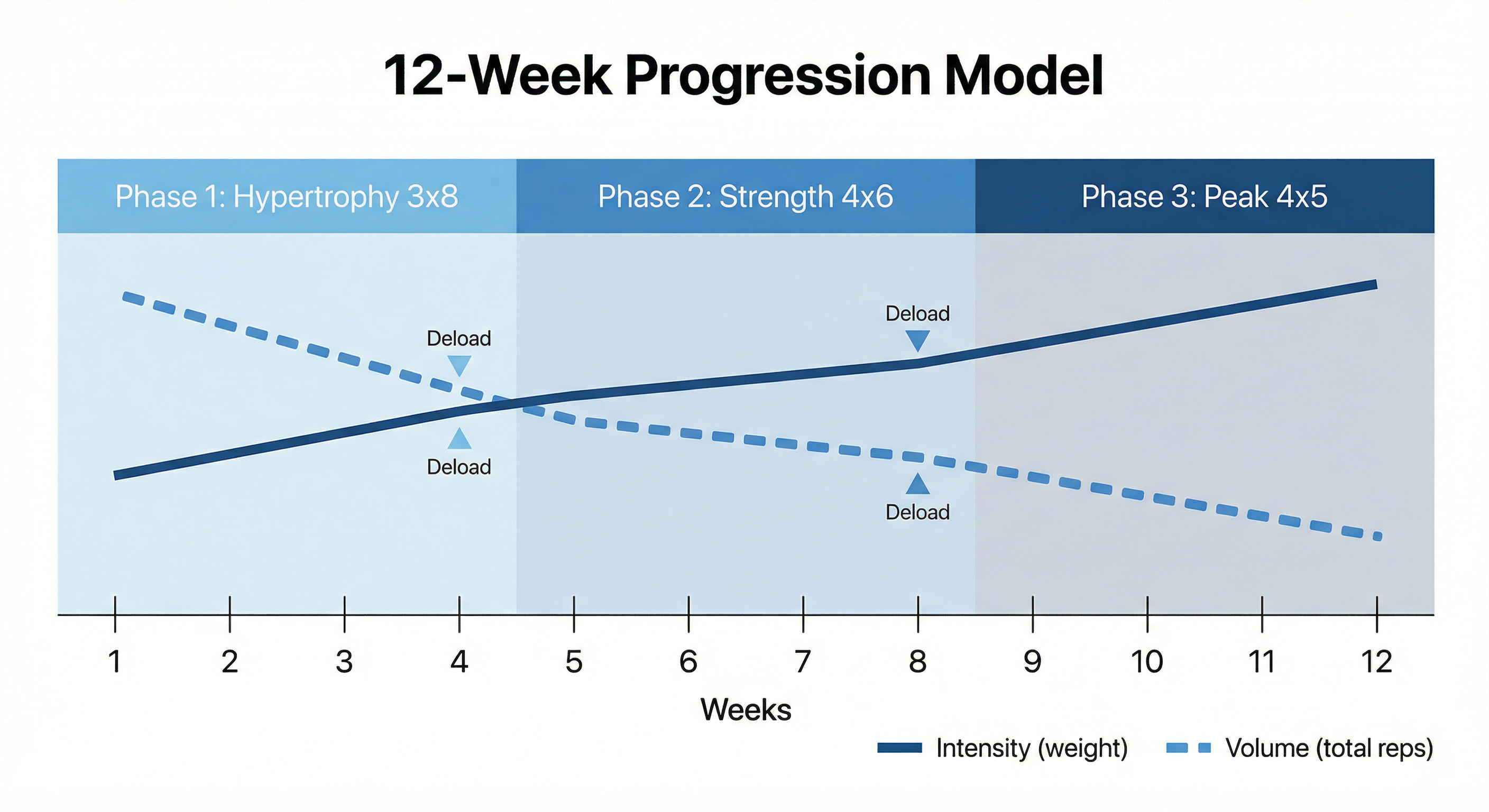 12-Week Progression Model
